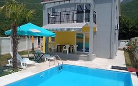 House With Pool - Mitrovic